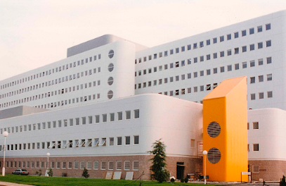 GVC Abogados, Murcia