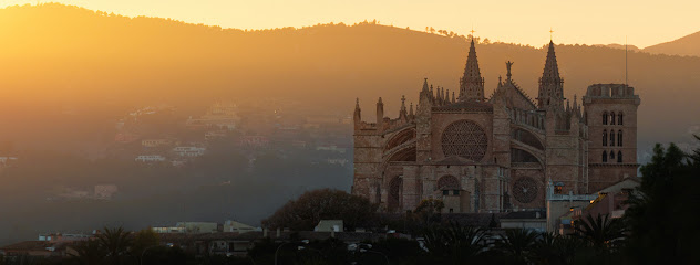 Asesoría Marrero Henning, Palma